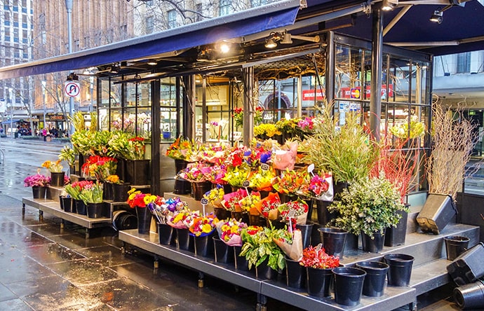 Redação e Conteúdo para Web